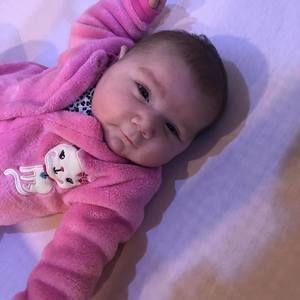 Meet your Posher, Dawn